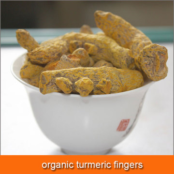 organic turmeric fingers