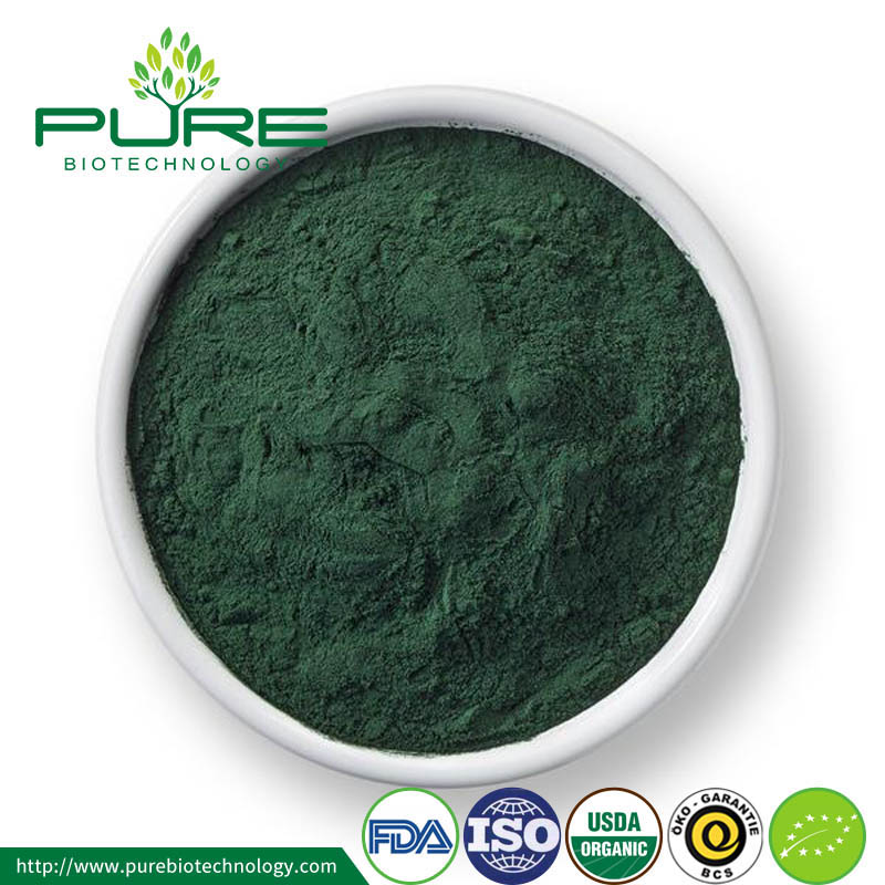 Broken cell-wall Organic Chlorella Powder Broken cell-wall Organic Chlorella Powder