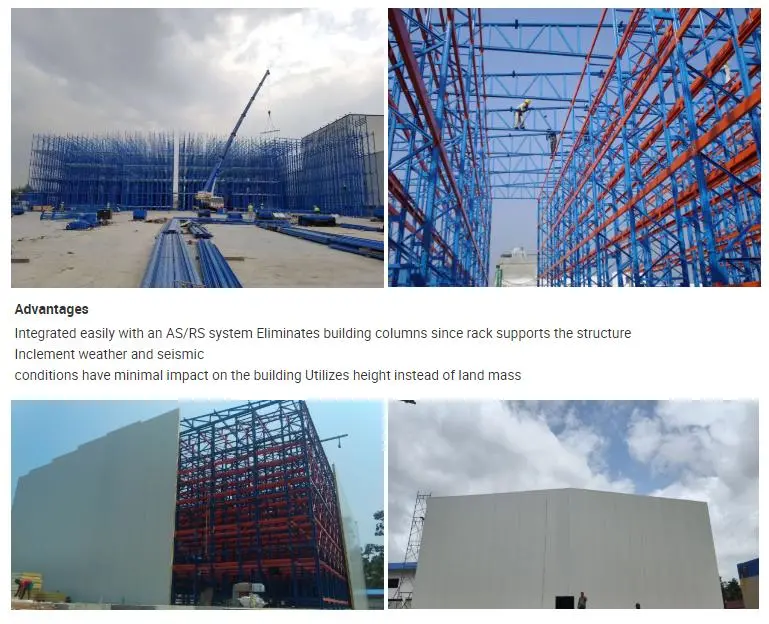 Rack Clad Building Systems for Automated Storage Racking