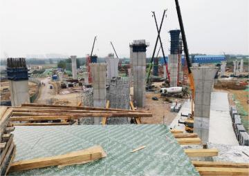 Plywood for construction purposes