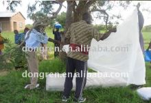 Africa Mosquito Net/Insecticide Mosquito Net