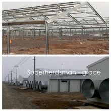Heißes Gavalnized-Stahlstruktur-Hühnerhaus mit landwirtschaftlichen Maschinen
