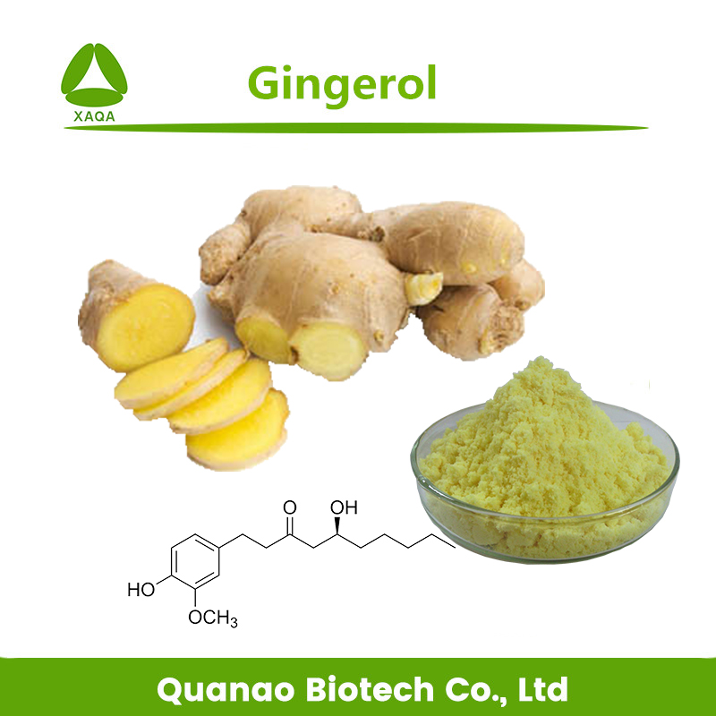 Additif de gingembre Additif Extrait de gingerols poudre 10%