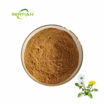 Wild Plant Extract Dandelion Extract