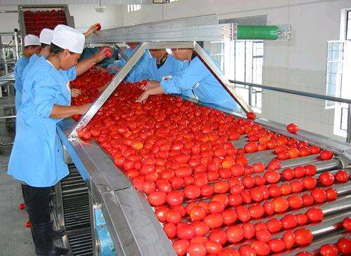 Automatic tomato ketchup making machine for food processing plant