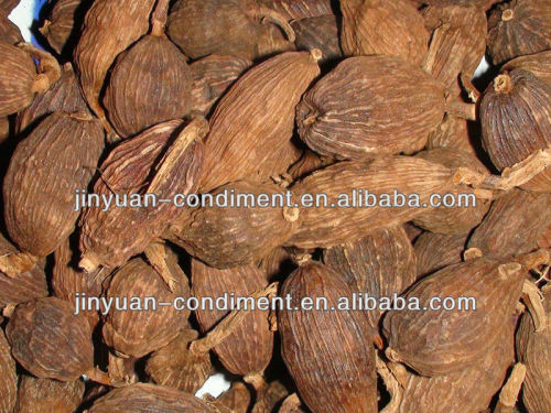 100% Natural Dried Tsaoko Amomum Fruit