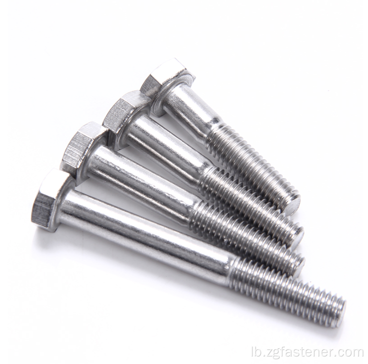 Hexagon Head Bolts baussenzeg Hex Bolt