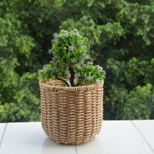 Round Plastic Rattan  Flower Pot