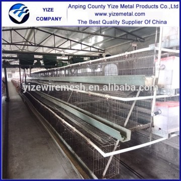 china alibaba egg poultry farm chicken/egg farming equipment for chicken