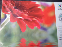 Eco-solvent White Embossed Wallpaper from home decor,Printable wall paper