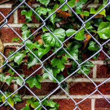 Corrente da cadeia para obras de arte usando jardinagem