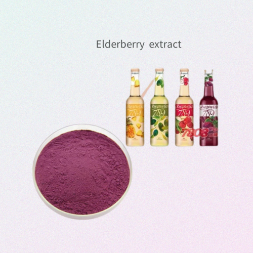 Schwarzer Oderberry Extract /Elderberry Fruit Extraktpulver