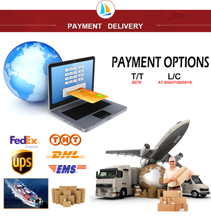 Wysokiej jakości zamrożony małż z krótkim szyją