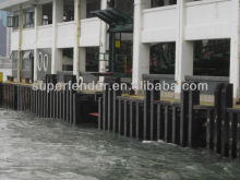 Plastic port protection system