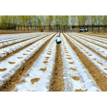 Película de mantillo de plástico biodegradable