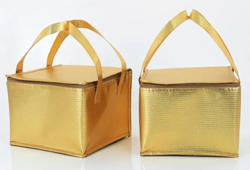 Leakproof Cooler Bag for Lunch & Beach