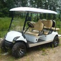 Gas Beroperasi Off-road Golf Cart 4 Orang