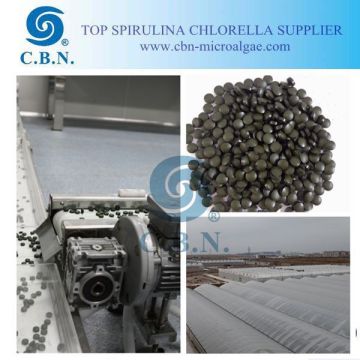 Spirulina Organic