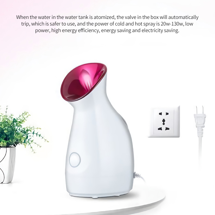 User-friendly Design Inoic Nano Facial Steamer