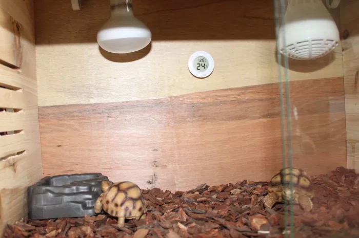 Embedded Reptile Pet Box Round Mini Electronic LCD Digital Thermometer Hygrometer for Egg Incubator