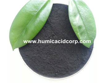 Nitro humic acid powder/Granule