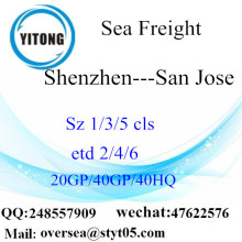 Shenzhen Port Sea Freight Shipping To San Jose