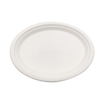 Birthday Party Plates 10"Oval Plate