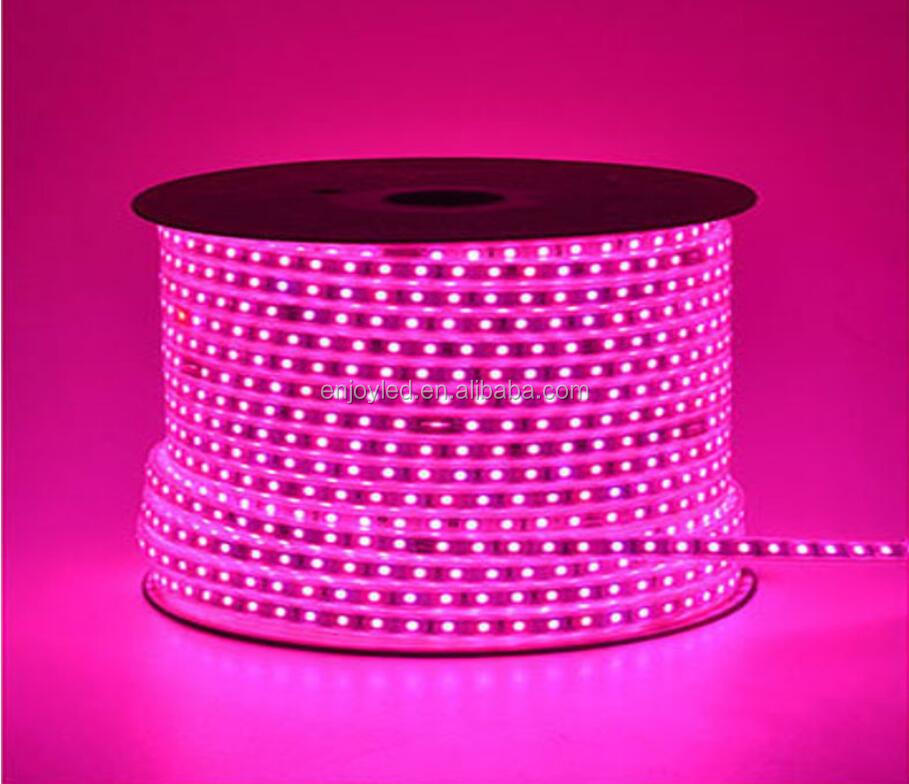 LED Strip Light Waterproof LED Tape AC 220V SMD 5050 RGB 60LED Flexible LED Light strip for Living Room Outdoor Lighting