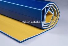 Gym Mat/Floor exercise Mats/Dance Mats/Training Mats