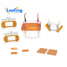 Gel Capillary Vertical Electrophoresis Device for Hb Hemoglobin Electrophoresis