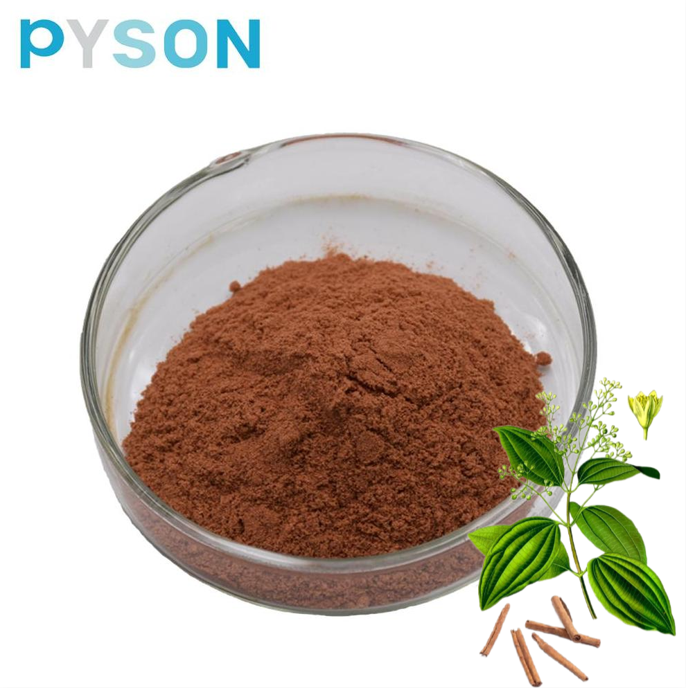 Cinnamon Bark Extract powder