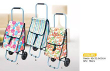 Items-Shopping Carts