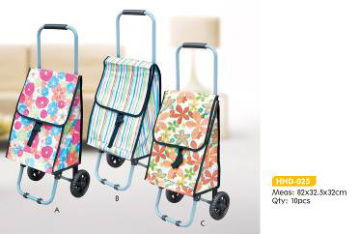 Items-Shopping Carts