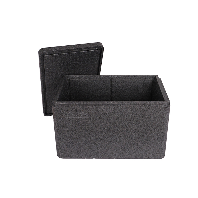vaccine transport Epp Thermo Cooler Box, medicine cooler box,insulin cooler box