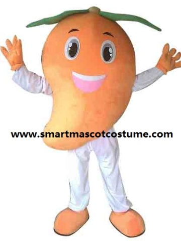custom mascot costume