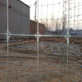 fixed knot woven field fencing hog wire