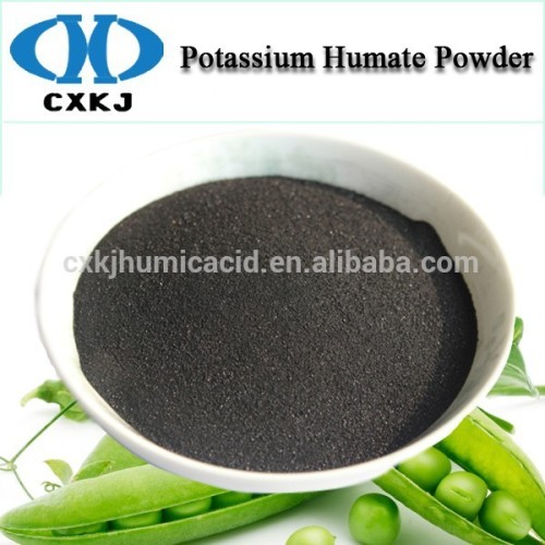 Indian Vegetable Plants Need Organic Potassium Humate