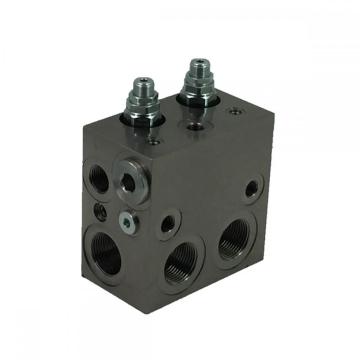 Customerization Manifold Blocks