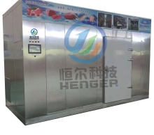 Frozen Thawing Machine: Efficient Thawing for Meat and Fish
