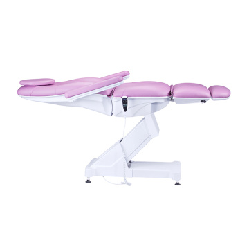 Purple color salon electric facial bed TS-2158