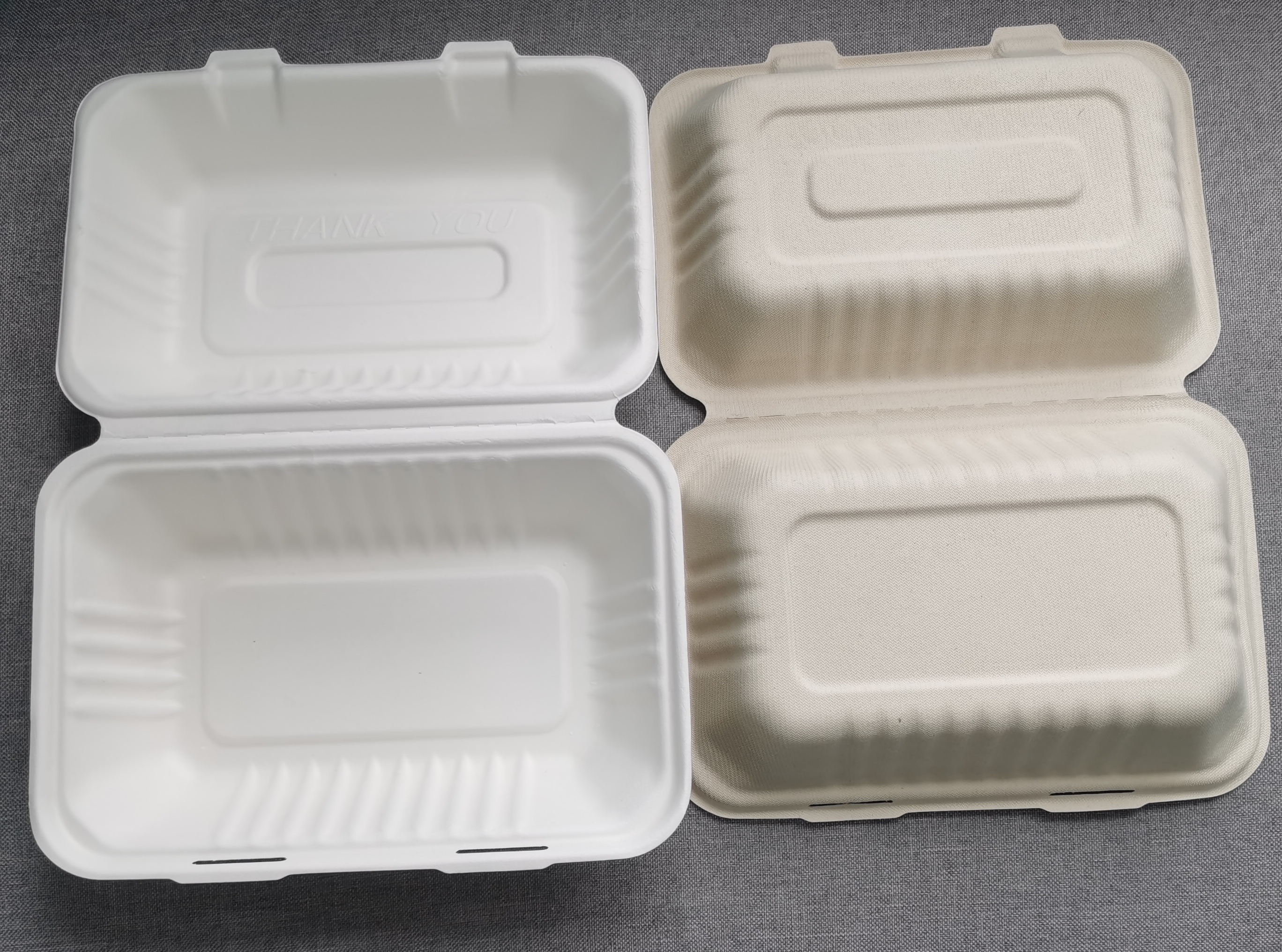 Biodegradable Food Container								