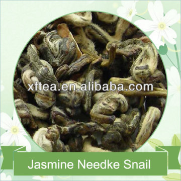 Jasmine Tea Needle Snail