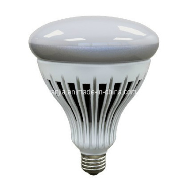 2000 Lumens Dimmable Energy Star LED R40