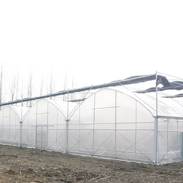 Multi-span agricultural hydroponics equipment greenhouses