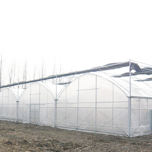 Large Plactic Greenhouse For Vegetable Flowers