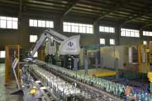 Robotic Palletizing Systems Auto Stacker For Shrink Pack Palletizing Machine