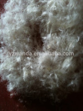 70% wash grey duck down manufactory in China