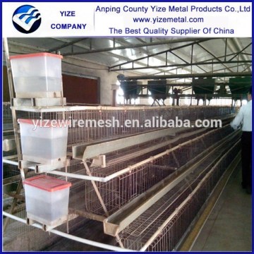 High quality cheap poultry cage layer chicken cage/ bird cage