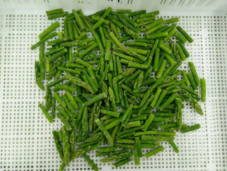 Nop EU Organic IQF Frozen Vegetables Green Asparagus From China