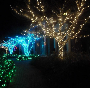 Energy led festival light for christmas